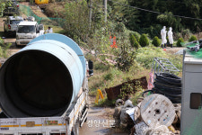인천 강화 축산농가 3곳서 소 ‘럼피스킨병’ 확진…의심신고도 1곳
