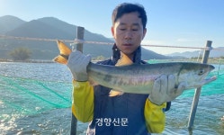섬진강에 팔뚝보다 큰 ‘한국 연어’…“식탁 오르기엔 일러요”