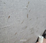 “저게 다 빈대의 흔적”…쪽방촌·고시원은 ‘빈대와의 전쟁’ 중