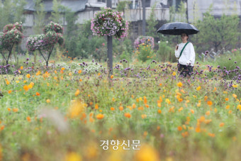 전국 돌풍과 천둥·번개 동반한 비