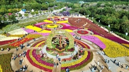 인제군, 용대 관광지 가을꽃 축제장에 ‘지방 정원’ 조성···2027년까지 15㏊ 규모