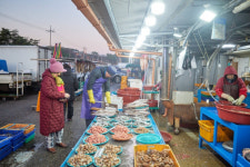 겨울 동해의 맛 ‘고것 참 차지다’[지극히 味적인 시장]