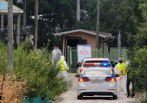 경북 영덕 양돈농가서 아프리카돼지열병 확진…경북지역 첫 발병