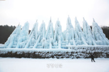 ‘천연 겨울왕국’ 청양 알프스마을···나무마다 핀 얼음꽃처럼 동심 활짝