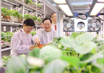 이제는 도심 사무실에서 농사짓는다…대전시, 전국 최초로 원도심 빈 건물에 ‘스마트팜’ 조성