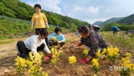 “느려도 좋아”…‘장애 품은’ 농업, 농촌까지 살릴까