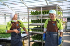 “장애 특성에 맞춘 시스템 농업으로 연 매출 50억 이상 달성했죠”