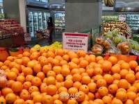 “매대에 사과 대신 파파야·망고…비싼 건 마찬가지” 과일값 급등 달라진 장보기 풍경