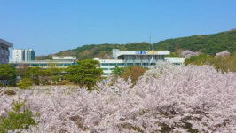 경기도에 가면 꽃·도자기·놀이공간이 있다