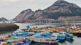 낚시 못 하는 군산 낚시공원···‘32억 애물단지’ 전락[현장에서]