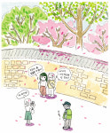 (4)꽃피는 봄이 오면…나는 꽃구경하는 ‘사람’을 본다[이다의 도시관찰일기]