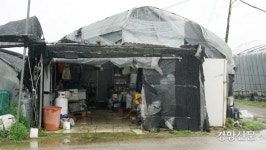 지자체들, 여전히 “이주노동자 비닐하우스도 집”