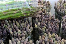 양구 대표적인 농특산물 아스파라거스 본격 출하···일본·홍콩 수출 등 올해 21억 원 소득 전망