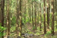 농촌에 머물며 진짜 제주 즐기기 ‘카름빌리지’ 시동