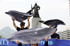 “수족관 돌고래를 바다로”[정동길 옆 사진관]