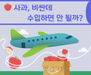 사과, 비싼데 수입하면 안 될까?[뉴스레터 점선면]