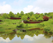 ‘눈물의 여왕’에 나온 그곳...알고 보니 사유의 숲이었네 ‘대구 사유원’