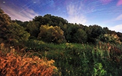 ‘국가생태관광지역’ 옥천 안터마을 주민들 반딧불이 축제 연다