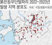 일찍 온 ‘러브버그’…살충제는 삼가세요