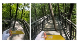 서울 무장애숲길 8곳 중 5곳은 휠체어로 못 간다, 장애인 위한 안내는 전무