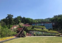 원주 동화마을수목원, 29일 맨발 걷기 축제···다양한 부대행사도