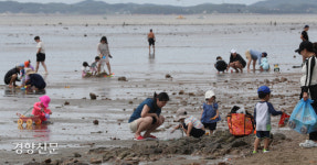 더위도 잊고…갯벌 체험 삼매경[포토뉴스]