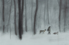 늑대 부부에게 입양 보낸 동생 찾아…안개 숲으로 떠나요[그림책]