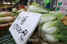 ‘한포기 2만원’ 김치 대란 우려에 중국산 배추 2년 만에 수입 재개