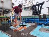 “황금어장인데 석유가 난다니”…생계터전 잃을까 근심 가득한 홍게잡이 어민들