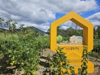 꿀벌에게도 ‘맛집’이 있다?…‘밀원수’를 가꾸는 마을[현장에서]