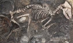 신라 왕성 터 ‘경주 월성’에서 1800년전 사로국 거주지 첫 확인