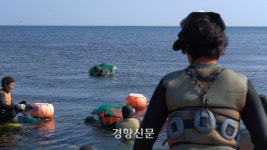 “물건 없는디 누가 물질 허쿠광”…바다 사막화에 사라지는 해녀들