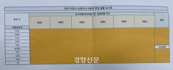 코이카 상임이사에 ‘윤 대통령 가족’ 법률대리인의 누나 선임 논란