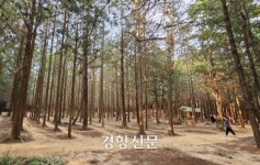 ‘맨발로 걸어요’···전북 관광명소에 ‘맨발 걷기길’ 만든다