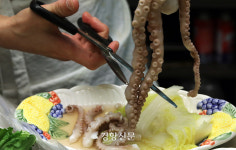 ‘이모카세 1호’ 김미령 셰프의 ‘인생의 맛’ [플랫]