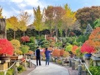 2만그루 단풍나무 사이로 100마리 반달곰…세종시 베어트리파크 ‘단풍축제’