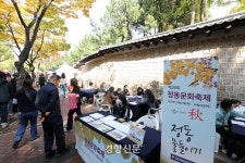 정동길 걸으며 느끼며 즐기며 [정동길 옆 사진관]