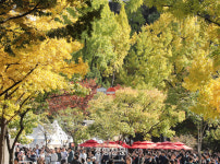 ‘가을 물드는 정동길을 즐겨요’…제26회 정동문화축제