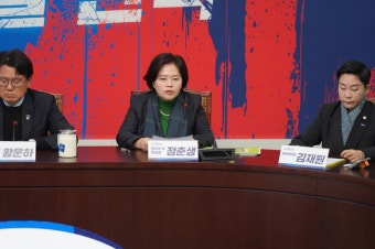 혁신당, ‘쿠데타 옹호’ 박선영 진화위원장 사퇴 촉구···“탄핵 예방보험”