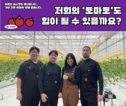 청년 농부 4인 “가진 것은 토마토뿐”…14일 탄핵 집회 ‘방토’ 나눔합니다[인터뷰]