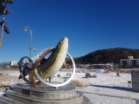 ‘평창송어축제’도 내년 1월 3일로 연기···이상 기후 영향 겨울 축제 잇따라 차질