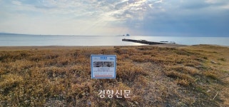 [르포]당신이 무심코 밟던 사계해변길, 몇 안 남은 귀중한 제주 해안사구