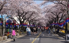 제주 15분 도시 조성 본격화…전농로 보행자 우선도로로