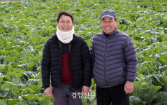 ‘금값’과 ‘헐값’ 사이···농부는 밭에서 손을 뗀다 [남태령을 넘어③]