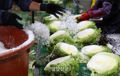 ‘금값’과 ‘헐값’ 사이···농부는 밭에서 손을 뗀다 [남태령을 넘어③]