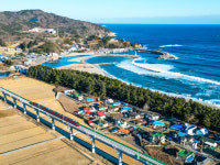 설렘은 마음을 타고, 동해 따라 달린다