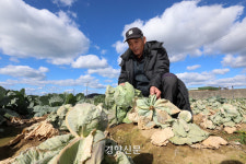 시들어버린 제주의 ‘푸른 겨울’···“온몸으로 맞서도 이젠 한계” [남태령을 넘어④]