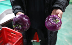 제주우유광령보급소 - 18906 | 시들어버린 제주의 ‘푸른 겨울’···“온몸으로 맞서도 이젠 한계” [남태령을 넘어④]