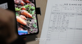 제주우유광령보급소 - 18906 | 시들어버린 제주의 ‘푸른 겨울’···“온몸으로 맞서도 이젠 한계” [남태령을 넘어④]