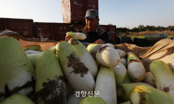 제주우유광령보급소 - 18906 | 시들어버린 제주의 ‘푸른 겨울’···“온몸으로 맞서도 이젠 한계” [남태령을 넘어④]